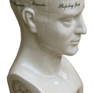 Large Ceramic Phrenology Head 42cm