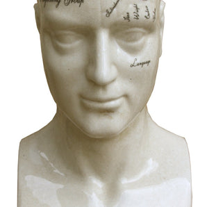 Large Ceramic Phrenology Head 42cm