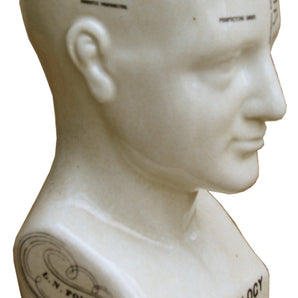 Medium Ceramic Phrenology Head, 25cm