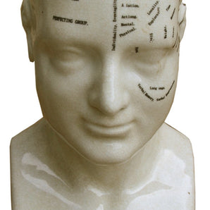 Medium Ceramic Phrenology Head, 25cm