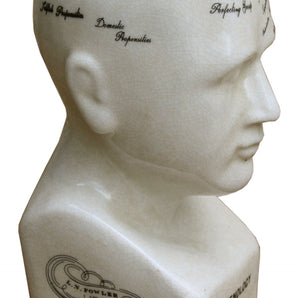 Small Ceramic Phrenology Head 19cm