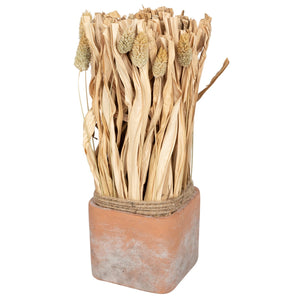 Fluffy Dried Grass Bouquet in Terracotta Pot- Large