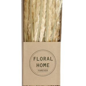 Decorative Dried Pampas Grass 60cm