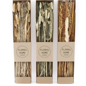 Set of 3 Dried Grasses in Display Box