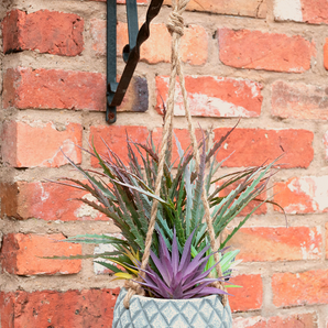 Hanging Succulents in Lattice Design Large Grey Pot