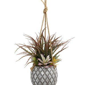 Hanging Succulents in Lattice Design Large Grey Pot