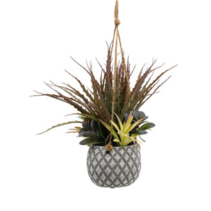 Hanging Succulents in Lattice Design Small Grey Pot