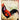 Metal Propaganda Wall Sign - Cockerel French Hen Chicken