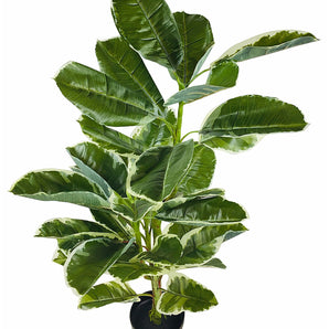 Artificial Large 110cm Rubber Ficus