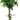 Artificial Ficus Tree With Twisted Trunk 137cm