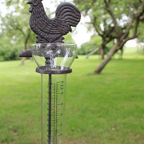 Cast Iron and Glass Garden Rain Gauge, Chicken