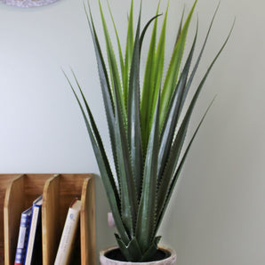 Artificial Aloe Vera Plant, 80cm