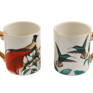 Birds of Paradise Mugs