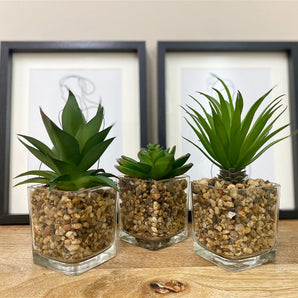 Set Of Three Faux Succulents In Glass Pots