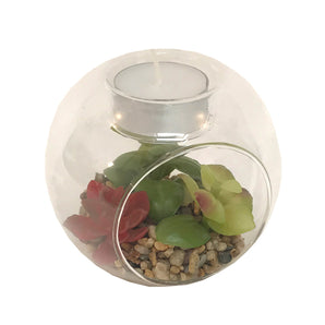 Succulent In Glass Terrarium with TeaLight Holder