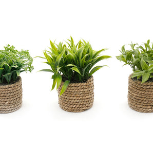 A Set Of Three Rope Effect Pots And Artificial Succulents