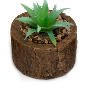 Bark Effect Pot and Succulent