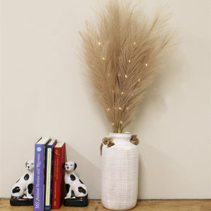 Set of Five Brown Led Pampas Grass Stems