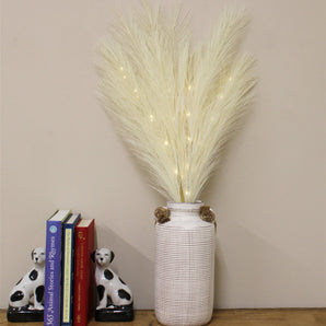 Set of Five Cream Led Pampas Grass Stems