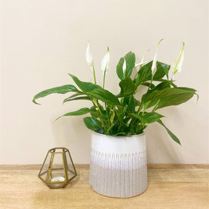 Grey Two-tone Textured Planter