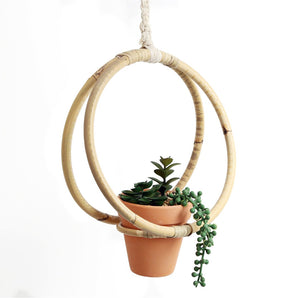 Faux Succulent In Bamboo Hanger