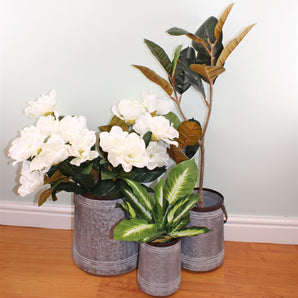 Set of 3 Bucket Style Metal Planters