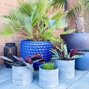 Set of Three Metal Garden Planters