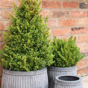 Set of Three Metal Dolly Tubs