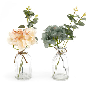 Set of Two Hydrangea in Glass Vases