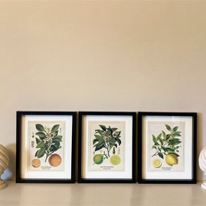 Set of Three Citrus Picture Frames