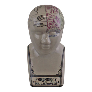 Small Ceramic Crackle Phrenology Head