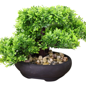 Eastern Faux Bonsai Tree in Boxwood Style