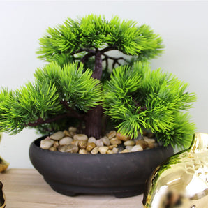 Eastern Faux Bonsai Tree in Fir Tree style