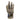 Palmistry Hand, Faith, 22.5cm