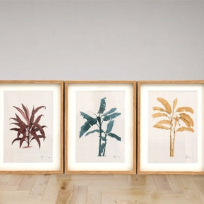 Tropical Palm Wall Art in Frames