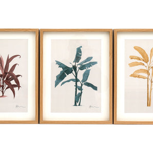 Tropical Palm Wall Art in Frames