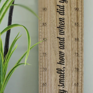 Height Chart Wall Plaque, How Did You Grow So Tall?, 100cm