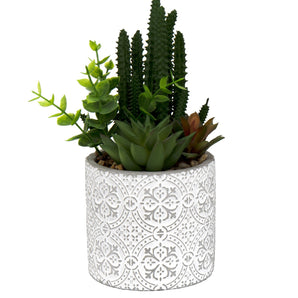 Succulents In Aztec Embossed Pot