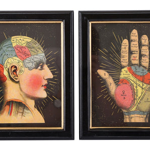 Set of 2 Phrenology Framed Prints 25cm